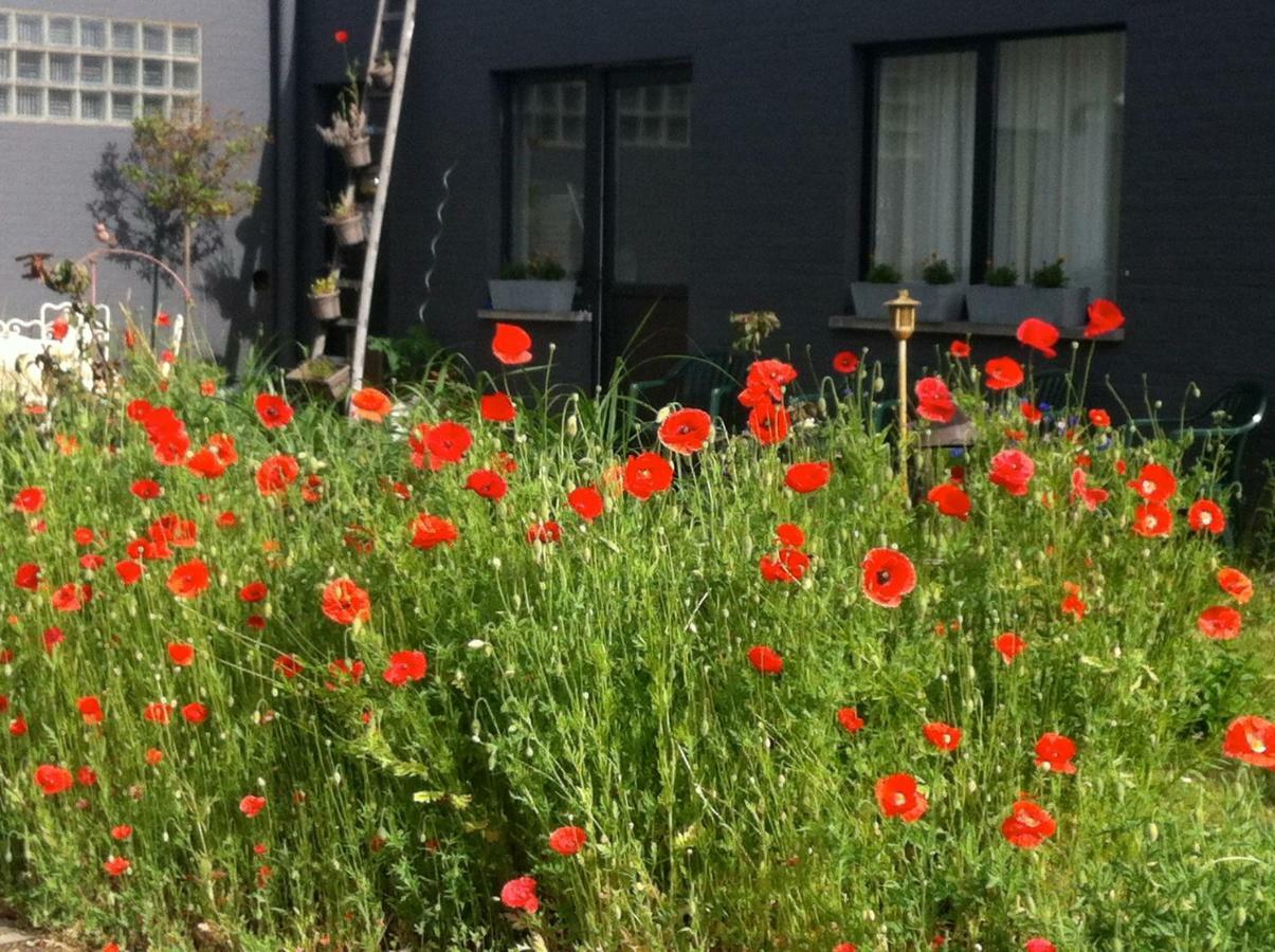 Jan Bol B&B Mechelen Luaran gambar